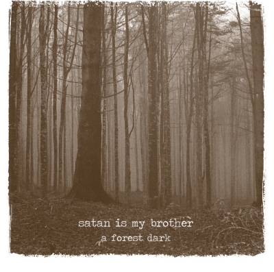 A forest dark