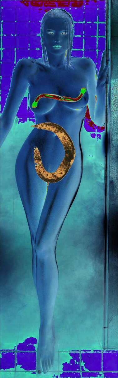 W R I T E TO F O N G